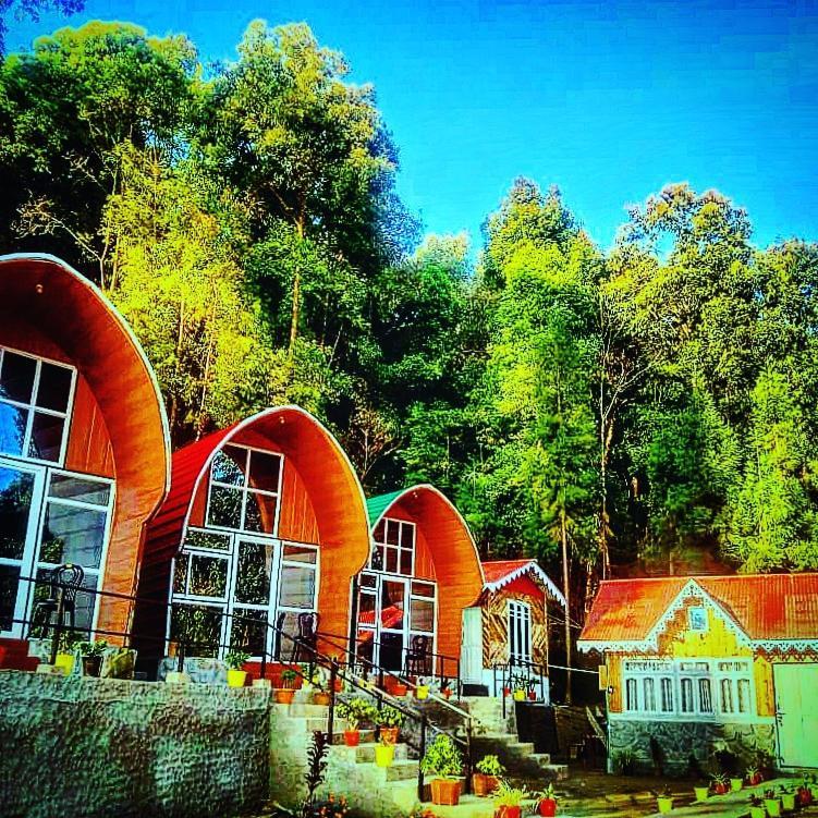 New Bloom Homestay Kurseong Ngoại thất bức ảnh