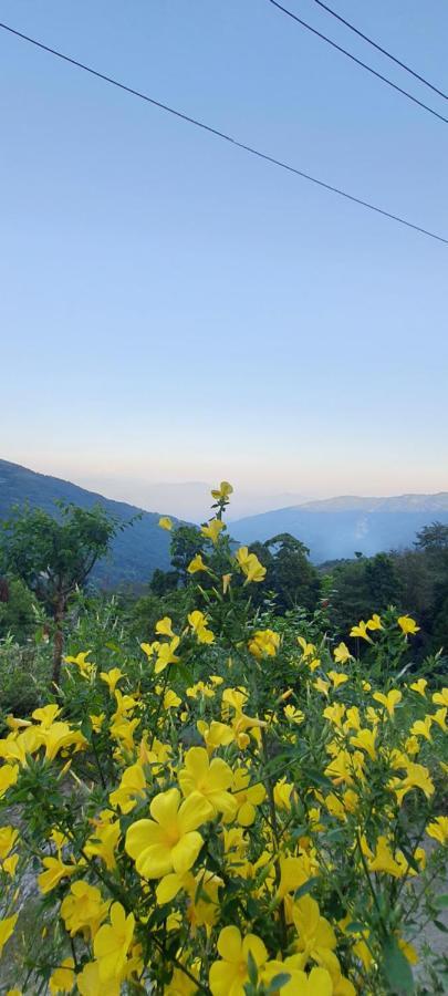 New Bloom Homestay Kurseong Ngoại thất bức ảnh