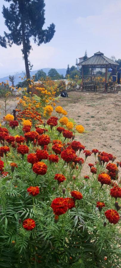 New Bloom Homestay Kurseong Ngoại thất bức ảnh