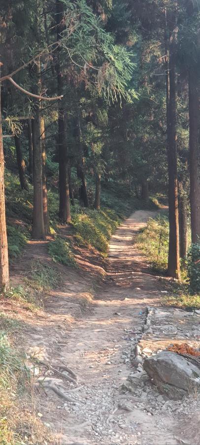 New Bloom Homestay Kurseong Ngoại thất bức ảnh