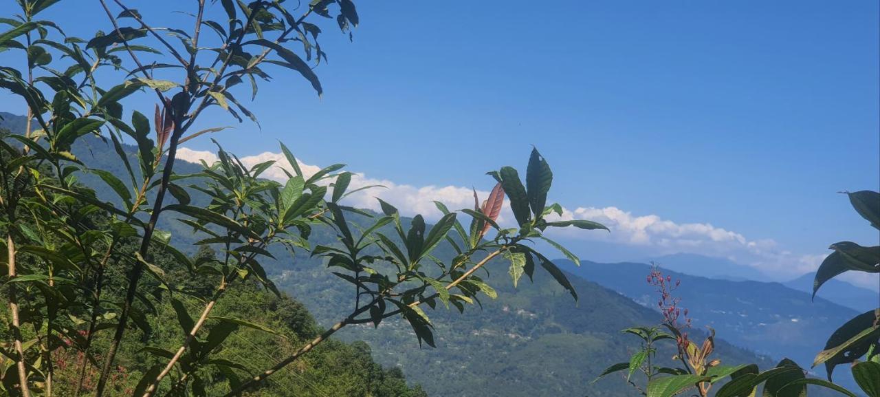 New Bloom Homestay Kurseong Ngoại thất bức ảnh